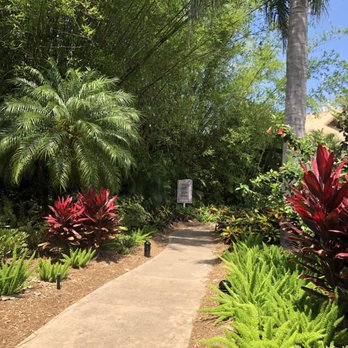Discovery Cove - BEAUTIFUL FOLIAGE !!! - Amusement Parks Near Me - Orlando, Florida