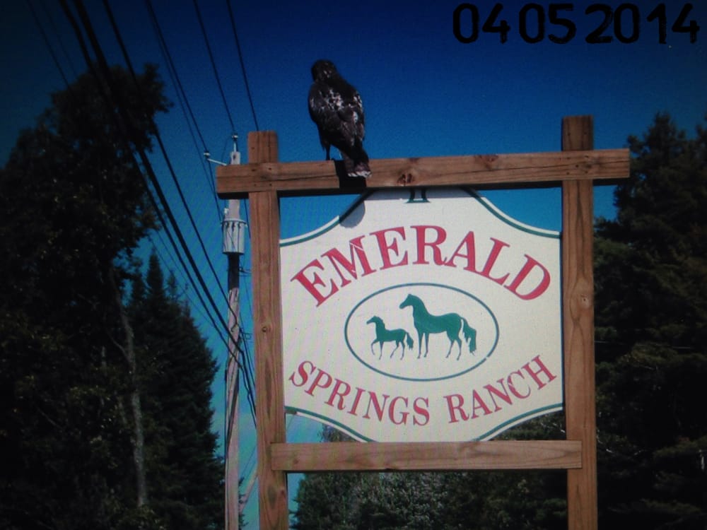 Social spots from Emerald Springs Ranch