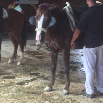 Carabali Rainforest Park - Horses !!! - Horseback Riding Near Me - Luquillo, Puerto Rico