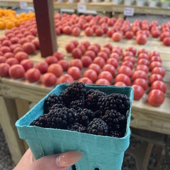 Triple A Farms - Nurseries & Gardening Near Me - Rockvale, Tennessee Triple A Farms - Nurseries & Gardening Near Me - Rockvale, Tennessee
