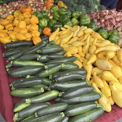 Avila Farms - Vegetables at the Fort Mason Center Farmers Market