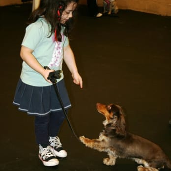Bark Bark Club - Training Class at the BBC - Pet Stores Near Me - Chicago, Illinois Bark Bark Club - Training Class at the BBC - Pet Stores Near Me - Chicago, Illinois