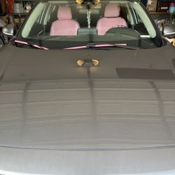 Glassology - Brand new sparkly windshield!