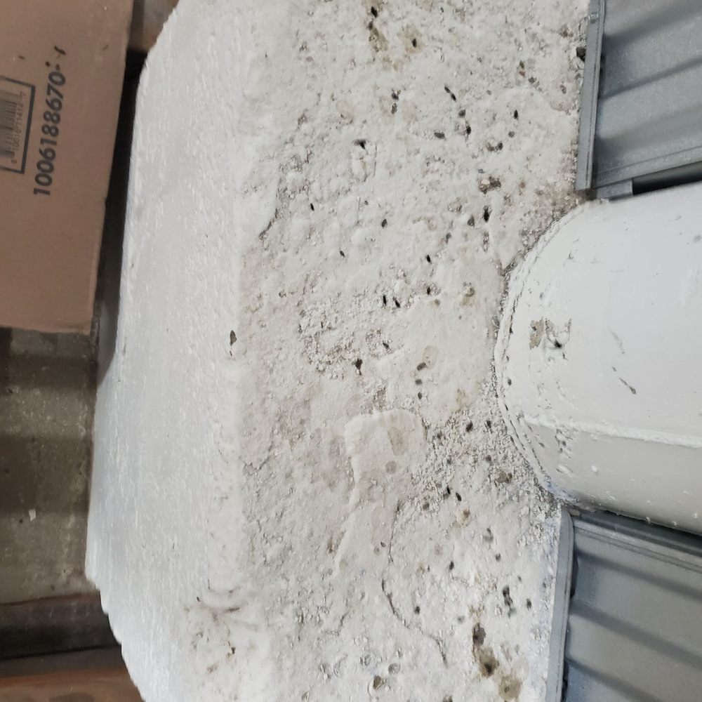 Prime Storage - Mice sh*t throughout the entire storage unit at Prime Storage, in Salem MA. DONT USE THEM! TERRIBLE CUSTOMER SERVICE ALSO! - Self Storage Near Me - Salem, Massachusetts Prime Storage - Mice sh*t throughout the entire storage unit at Prime Storage, in Salem MA. DONT USE THEM! TERRIBLE CUSTOMER SERVICE ALSO! - Self Storage Near Me - Salem, Massachusetts