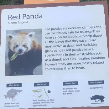 San Francisco Zoo - Zoos Near Me - San Francisco, California San Francisco Zoo - Zoos Near Me - San Francisco, California