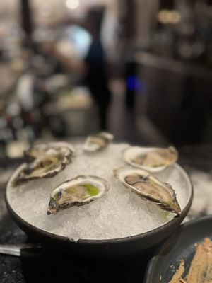 The Dixboro Project by null