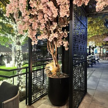 Ten Sushi - Sushi Bars Near Me - Dallas, Texas Ten Sushi - Sushi Bars Near Me - Dallas, Texas