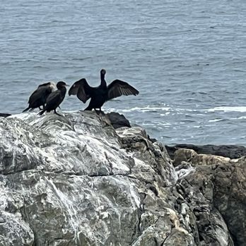 Cliff Walk - Parks Near Me - Newport, Rhode Island
