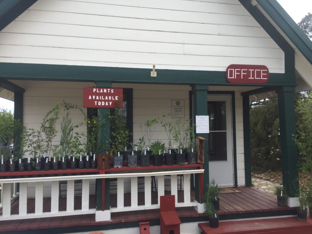 WASHOE NURSERY Updated June 2024 885 Eastlake Blvd, New Washoe City