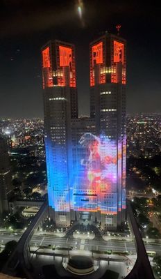 Tokyo Metropolitan Government Building by null
