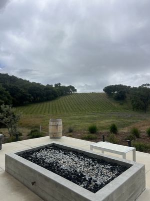 Caelesta Wines, Vineyard & Truffière by null