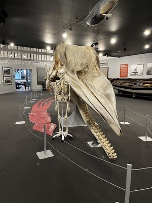 New Bedford Whaling Museum by null