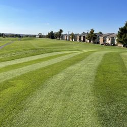 Tanglewood Golf Course - Hole 10
