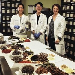 Pacific College Of Health And Science - Herbal formulas prepared in the on-site clinic