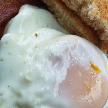 Darosa - a fried egg and bacon on a plate - Cafes Near Me - North York, Ontario
