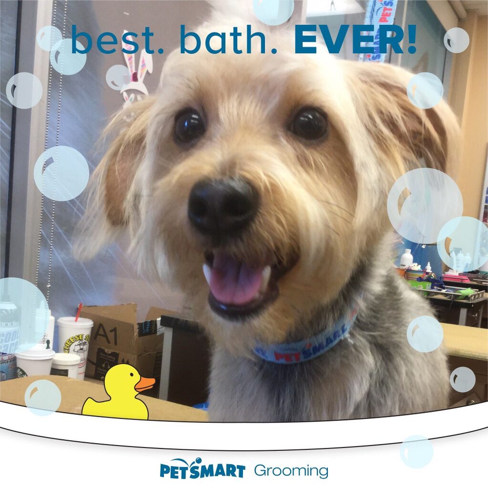 PetSmart - Pet Stores Near Me - Pinole, California PetSmart - Pet Stores Near Me - Pinole, California