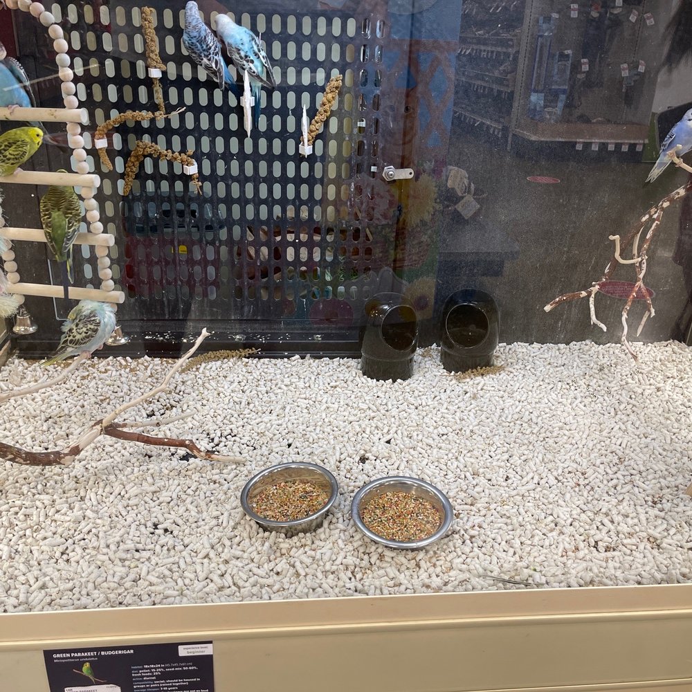 PetSmart - Fiancé wants a bird - Pet Groomers Near Me - Monrovia, California PetSmart - Fiancé wants a bird - Pet Groomers Near Me - Monrovia, California