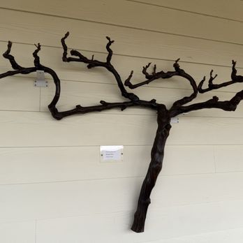 Ru Vango Winery - Wineries Near Me - Napa, California Ru Vango Winery - Wineries Near Me - Napa, California