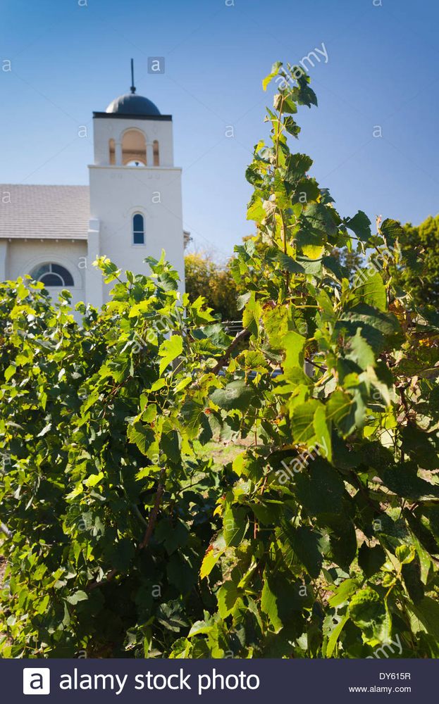 Chapel Creek Winery - vineyard in El Reno, OK