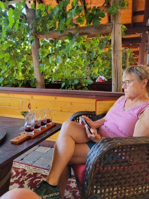 Marchesi Vineyards & Winery by null