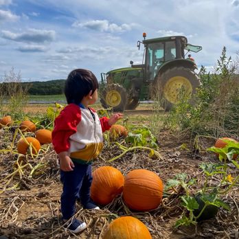 Ort Farms - pumpkin patch - Fruits & Veggies Near Me - Long Valley, New Jersey Ort Farms - pumpkin patch - Fruits & Veggies Near Me - Long Valley, New Jersey