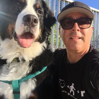K9pdx - Dog Walkers Near Me - Portland, Oregon K9pdx - Dog Walkers Near Me - Portland, Oregon