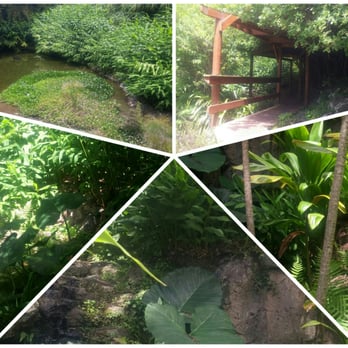 Kula Botanical Gardens - Parks Near Me - Kula, Hawaii