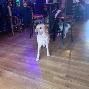 Zach's Shack - Dog! Owners corgi was not in residence this afternoon - Fast Food Near Me - Portland, Oregon Zach's Shack - Dog! Owners corgi was not in residence this afternoon - Fast Food Near Me - Portland, Oregon