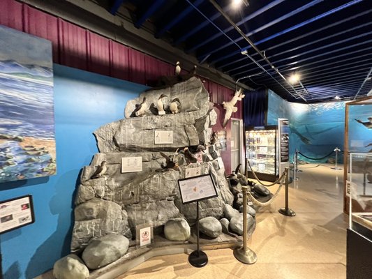 Alaska Museum of Science and Nature by null