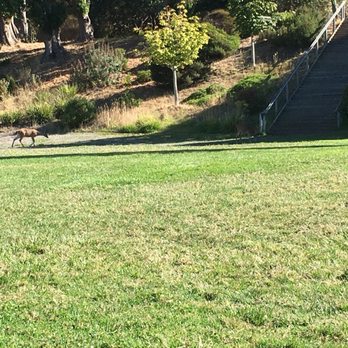 Paradise Beach Park - Parks Near Me - Tiburon, California Paradise Beach Park - Parks Near Me - Tiburon, California