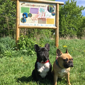 South Branch Park - If you go you gotta check out the Carolinian Woods!! - Parks Near Me - London, Ontario South Branch Park - If you go you gotta check out the Carolinian Woods!! - Parks Near Me - London, Ontario