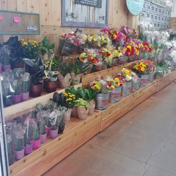 Trader Joe's - Floral section - Grocery Near Me - Albuquerque, New Mexico