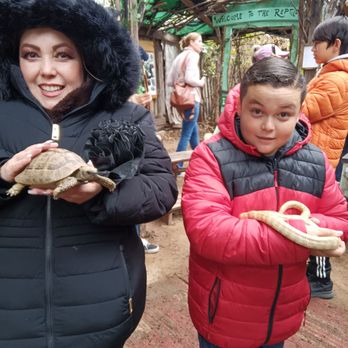 Fort Cross Old Timey Adventures - Family getting it in, reptile  show is amazing - Tours Near Me - Santa Ysabel, California