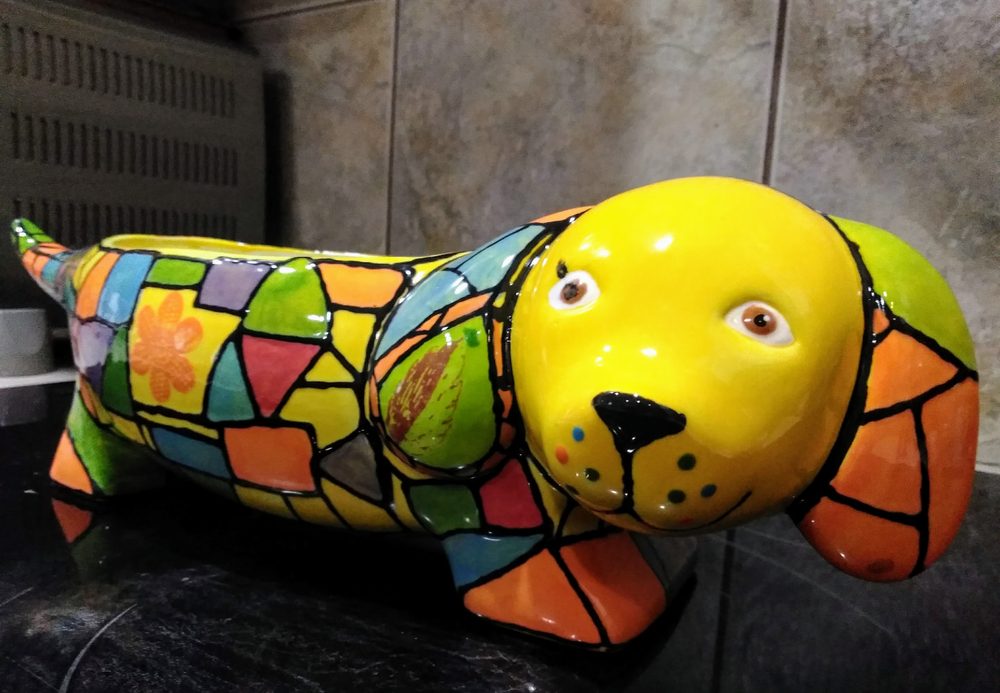 CLAY CASA 48 Photos & 59 Reviews 502 Embassy Oaks, San Antonio, TX