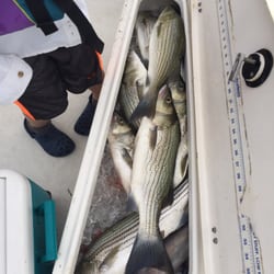 Bosstriper Fishing Guide Service - Capt Bos is awesome. Caught a box full of stripers. Bos was great with my 7 yr old.