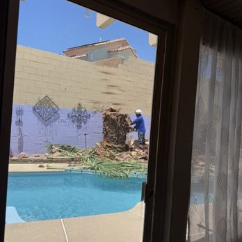 Diamond Tree Service - Tree Services Near Me