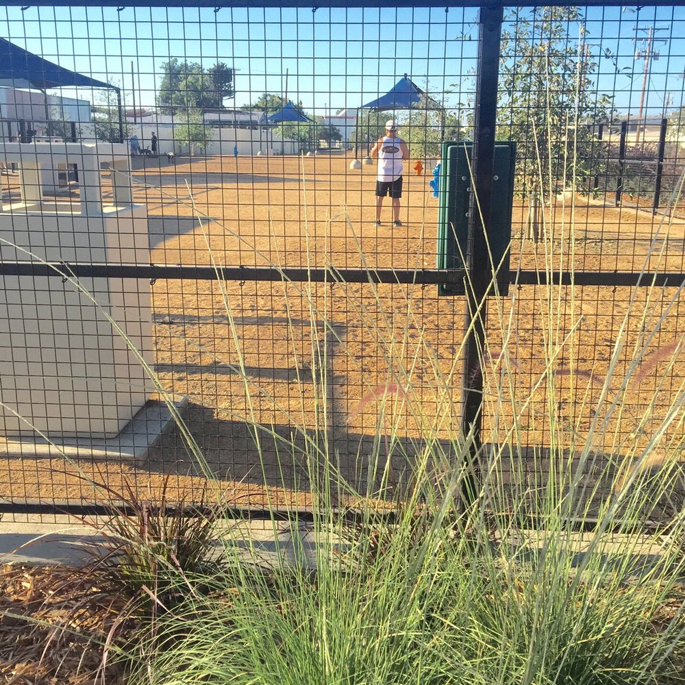 Whittier Dog Park - Dog Parks Near Me - Whittier, California Whittier Dog Park - Dog Parks Near Me - Whittier, California