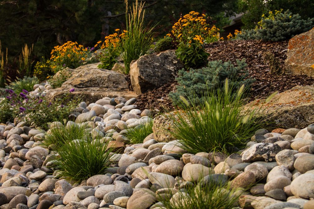 BILLINGS NURSERY & LANDSCAPING Updated September 2024 37 Photos