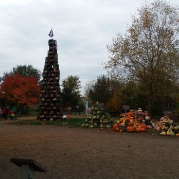 The Great Pumpkin Patch - Pumpkin Patches Near Me - Arthur, Illinois