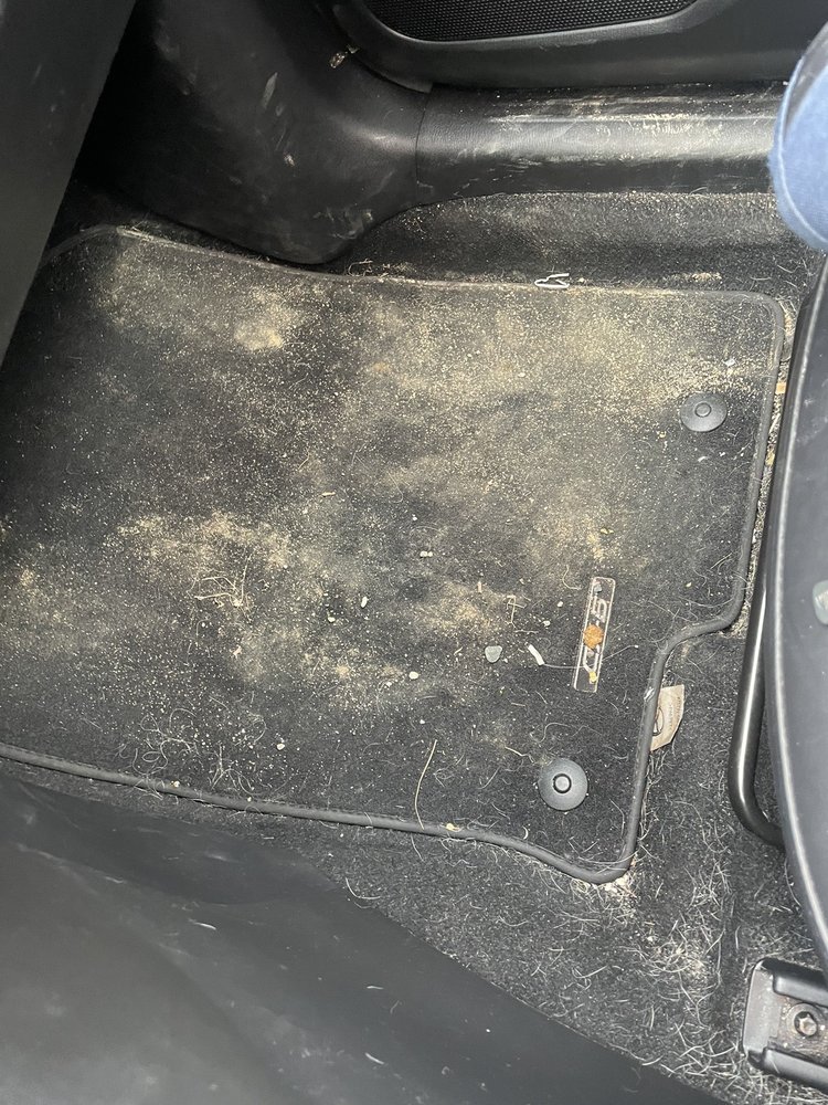 ELITE MOBILE DETAIL Updated September 2024 111 Loomis Rd