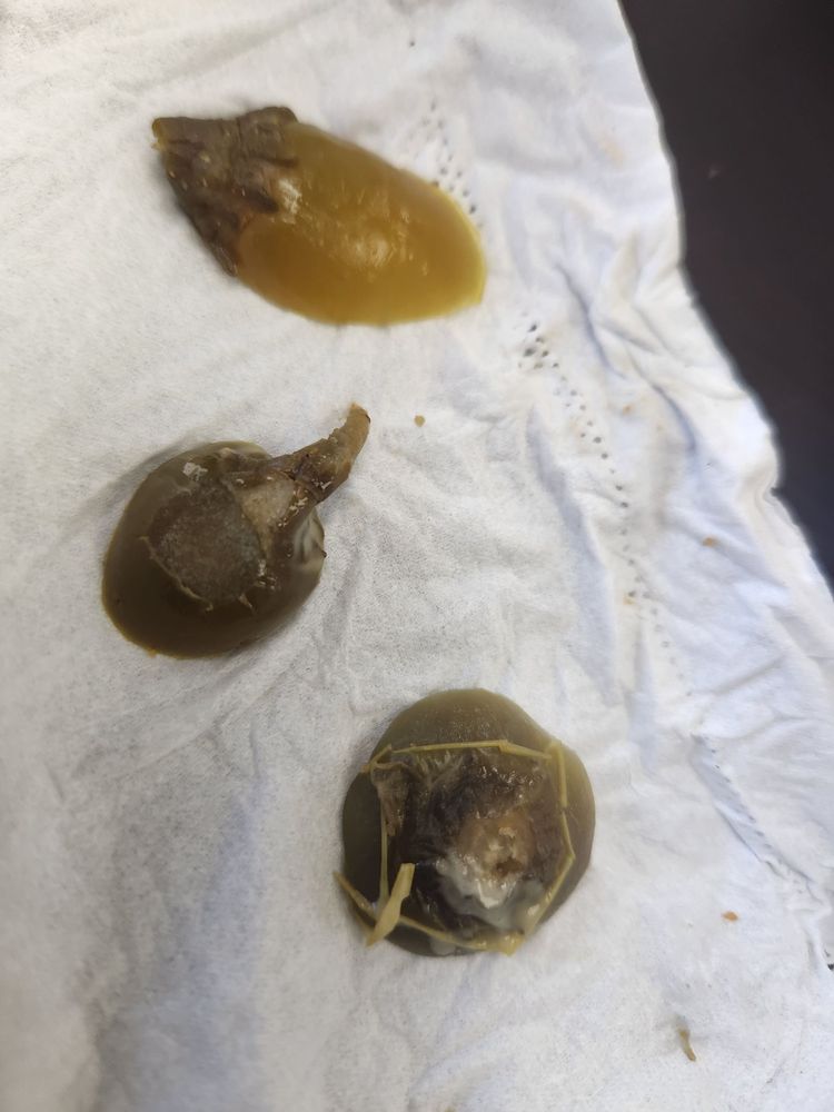 The Terrace Mediterranean Kitchen