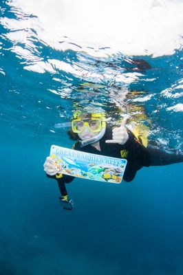 Passions of Paradise - Great Barrier Reef Tours Cairns by null