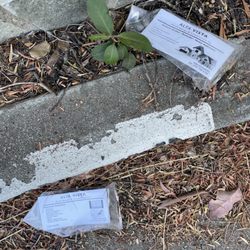 Zocalo Construction - Advertising littered around my mailbox