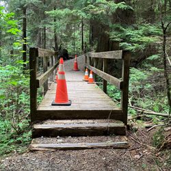 Belcarra Park - Woodhaven Swamp Trail -- bridge is crossable, just missing a couple of planks (May 30, 2026).