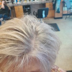Salon 119