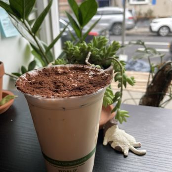 Kijitora - Iced tiramisu latte ft one of the many cats in the store - Coffee & Tea Near Me - Brooklyn, New York Kijitora - Iced tiramisu latte ft one of the many cats in the store - Coffee & Tea Near Me - Brooklyn, New York