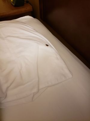 gateway lodge lackland afb