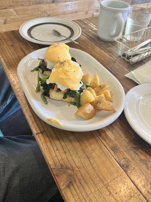 Breakfast & Brunch Jade5 by null