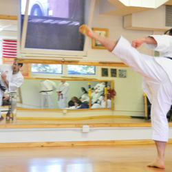 Southwest Washington Shotokan Karate