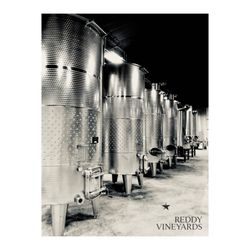 Reddy Vineyards - #texaswine #premiumwine #EstateWines at Reddy Vineyards